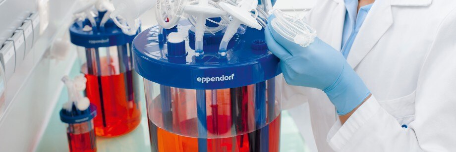 Cell Culture In Bioreactors Eppendorf Denmark