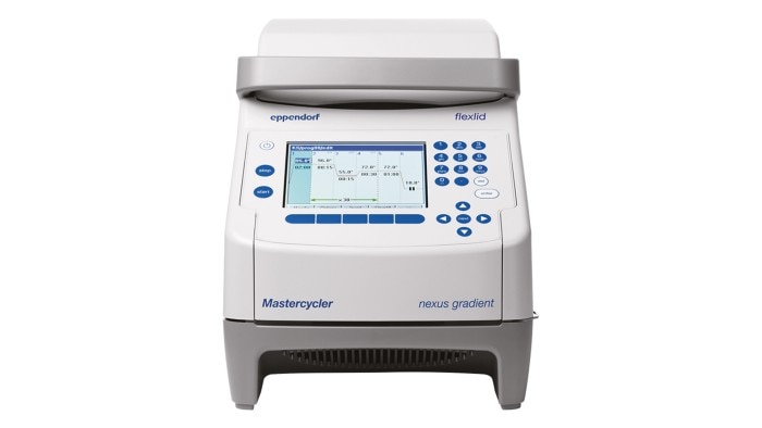 pcr_nexus_gradient