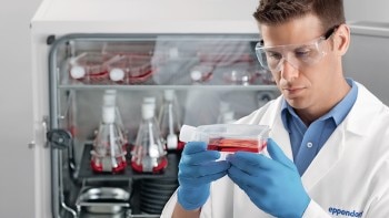 promo_h2_24_s41i_scientist_examines_flask_920x518