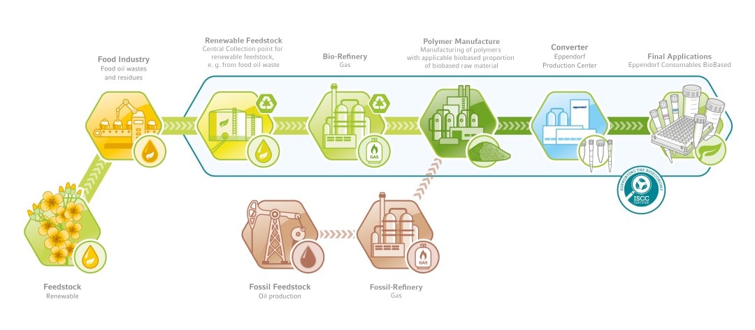 infographic of path from vegetable cooking oil to Eppendorf Consumables BioBased