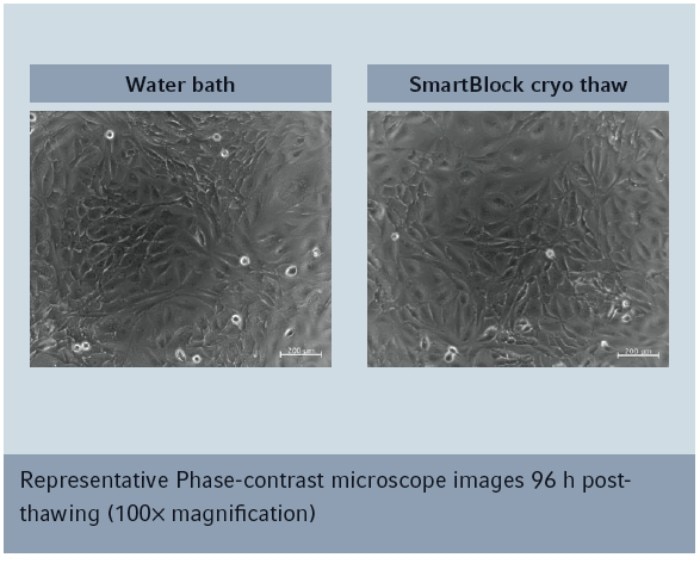 repsentative_phase_web