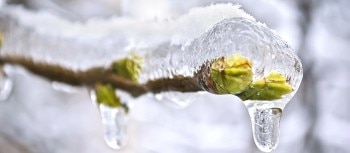 image_cryo_thaw_shutterstock_127550000_web