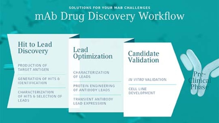 mAB discovery workflow