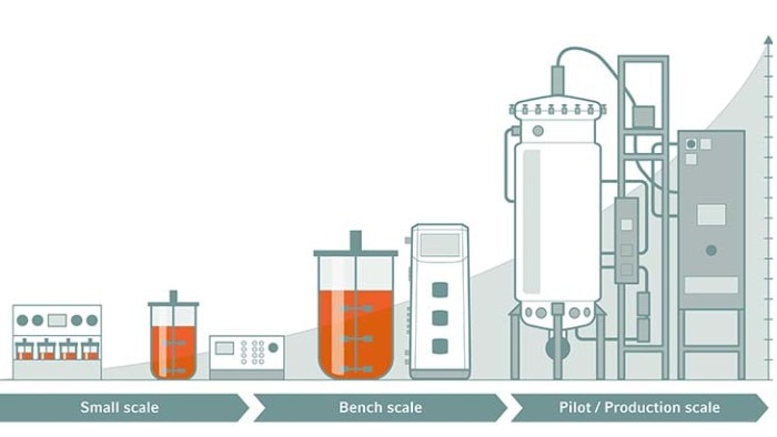 Schematic drawing of bioprocessing scale-up