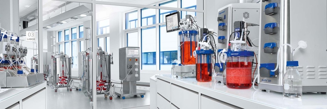 Bioprocessing scale up requires the careful implementation of parameter control strategies to ensure the maintenance of high yields and product quality.