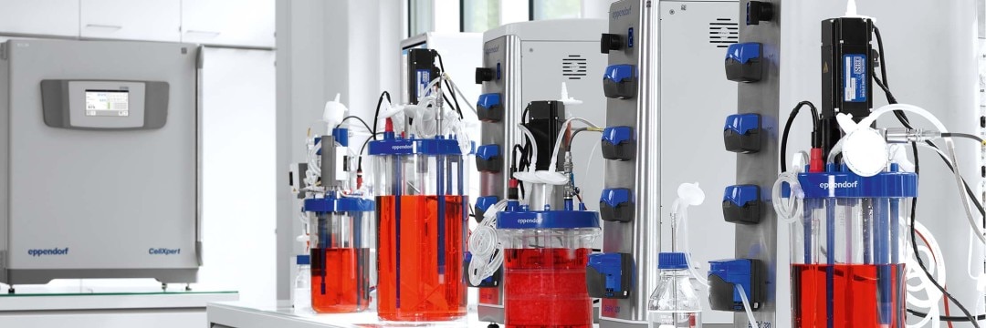 Bioreactor system, which can help with bioprocess optimization