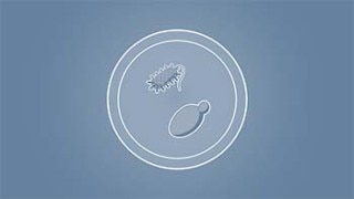 icon_microbial_production_350px_x_197px