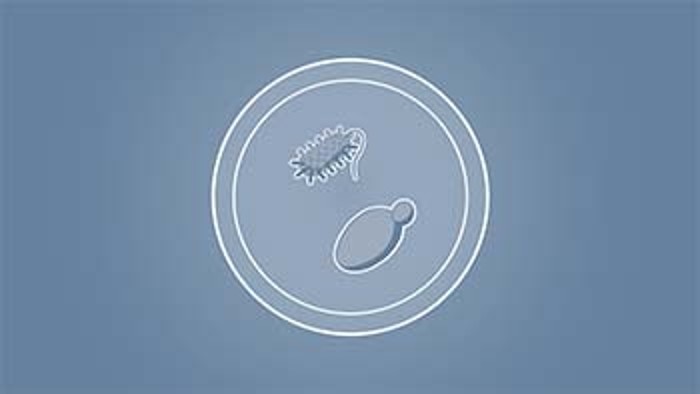 icon_microbial_production_350px_x_197px