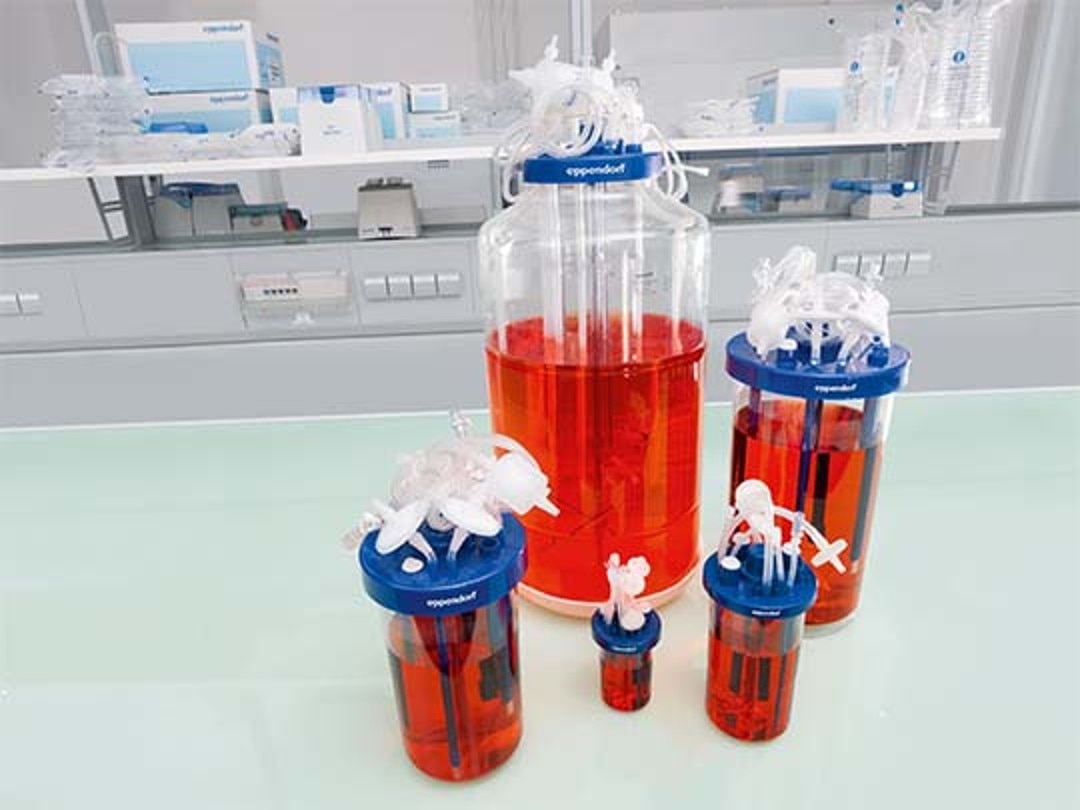 BioBLU Single-Use Bioreactors, which can save time in bioprocess development