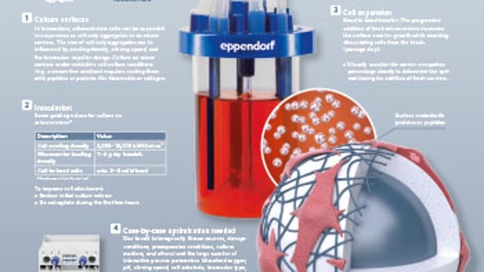 Infographic: Stem cell culture in bioreactors