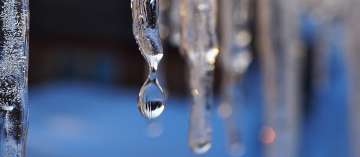 icicles_web