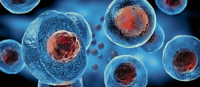 stage_stem_cells__introduction