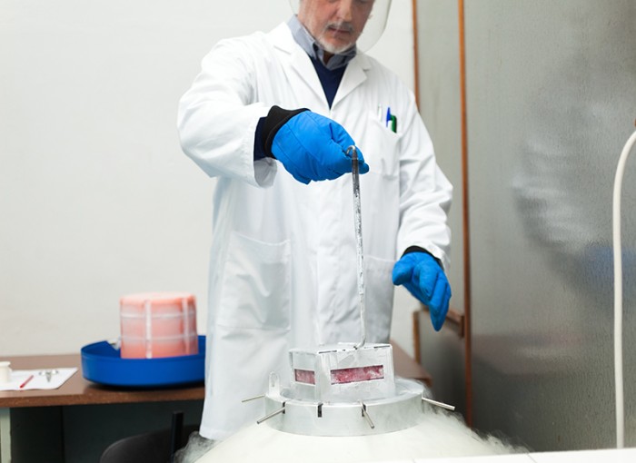 Man removing cryovials from liquid nitrogen