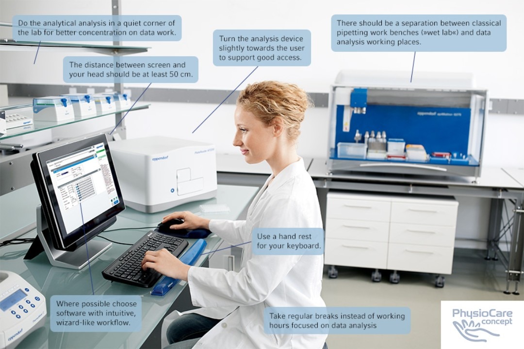 Scientist working in the laboratory in front of the computer following ergonomically correct workflows for data analysis.