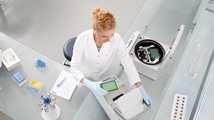 Scientist taking care about ergonomically lab workflows PCR