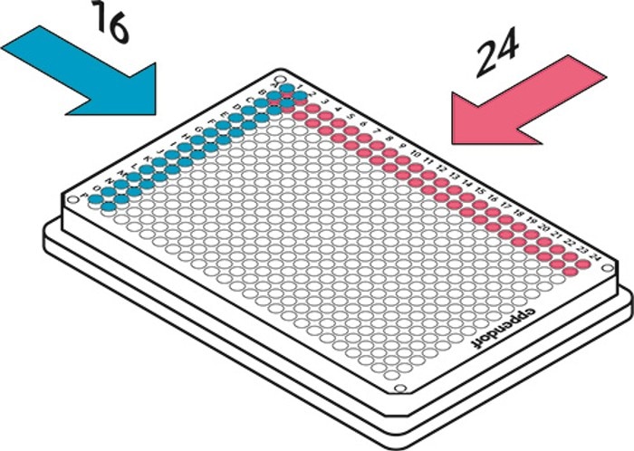 use_16_channel_pipettes