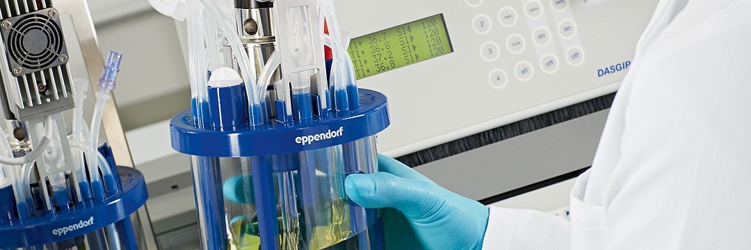 Scientist in the laboratory using vessels of Eppendorf designed for microbiology applicatio