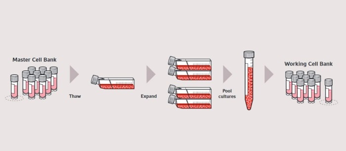 faq_how_to_establish_1260x550