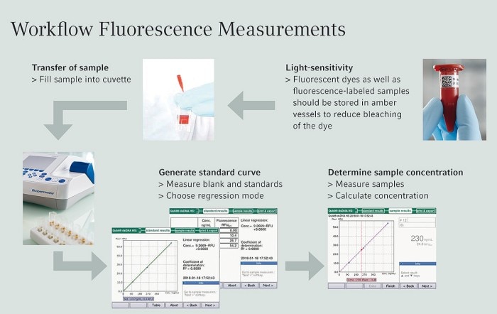 workflow_fluorescence