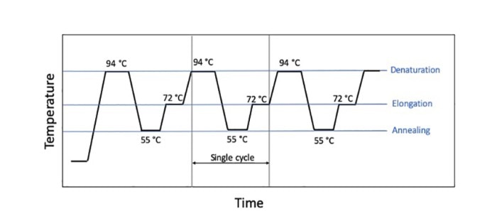 figure_1_final