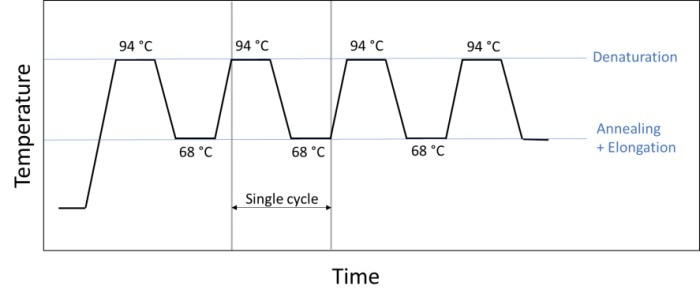 figure_5_finalfinal