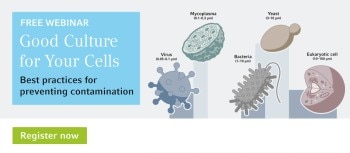 webinar_cells_1260x550_1