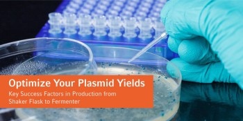 optimize_your_plasmid__web