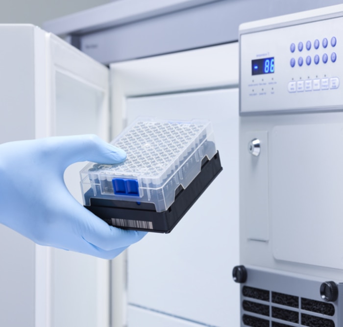 Scientist removes sample rack out of Eppendorf CryoCube F101h ULT freezer