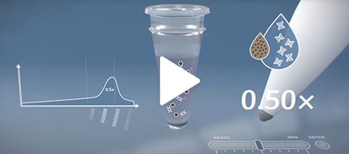 Thumbnail of Video How to Handle Magnetic Beads During NGS Library Preparation