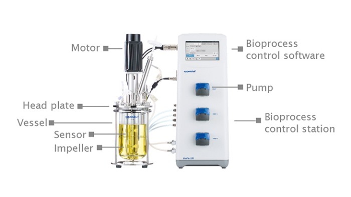 Components of a bioreactor