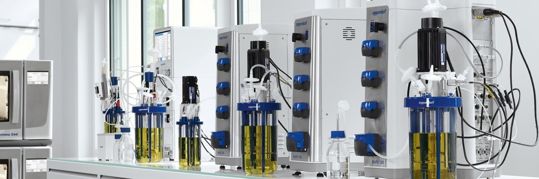 Bioreactor control systems for yeast fermentation