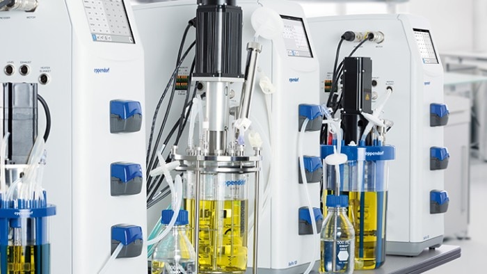 Bioreactor system suitable for yeast fermentation