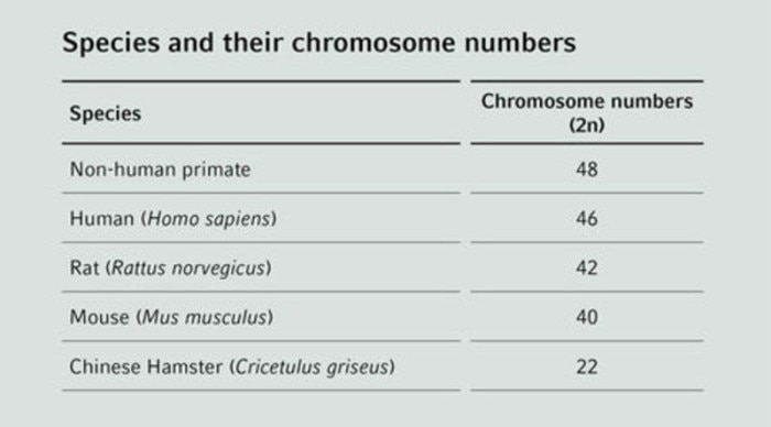 csm_species_chromosome_numbers_4c14a13ae8