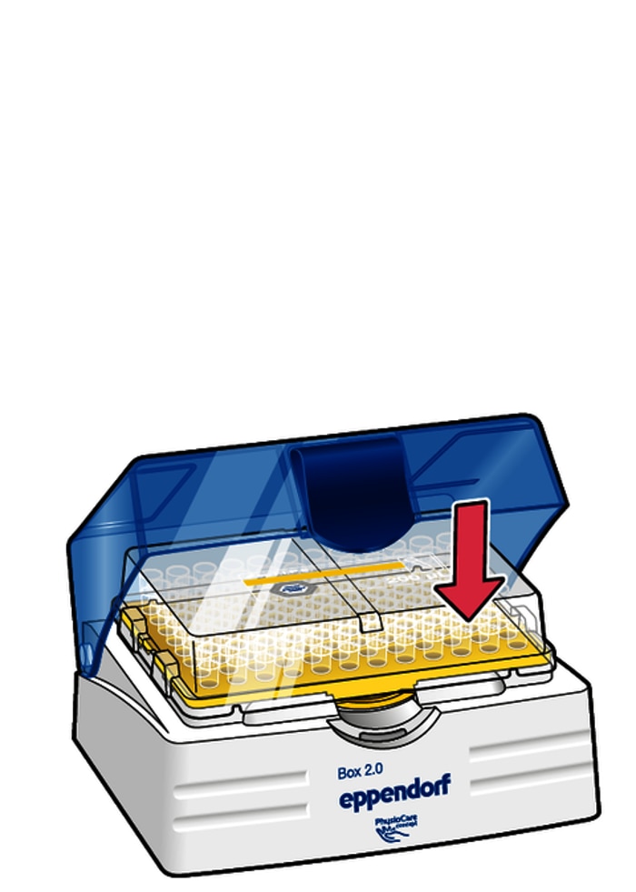 csm_illustration_eptips_sterilereload_3_3e12b1223c