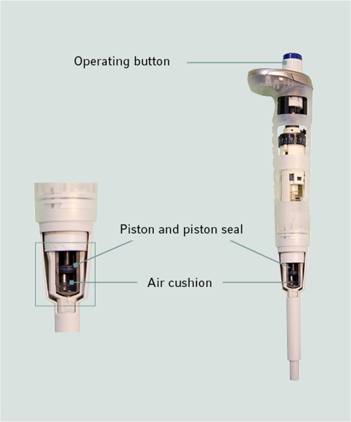 Cut pattern of Eppendorf Reference® 2 - Mechanical Pipette