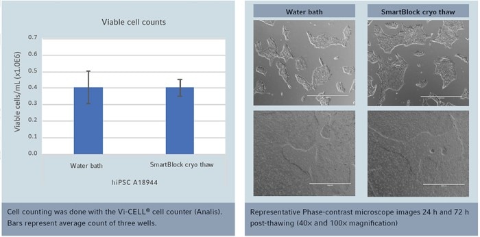 969557_cellthawing_abbildungen_viablecellcounts_table_920x455