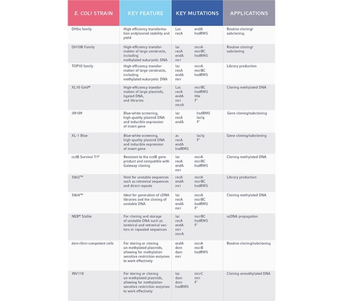 eppendorf___e__coli_strain_table_1final