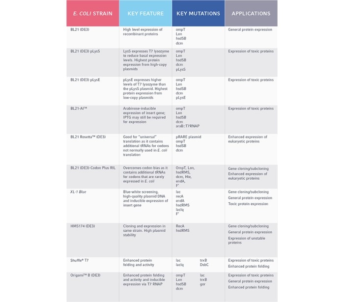 eppendorf___e__coli_strain_table_2final