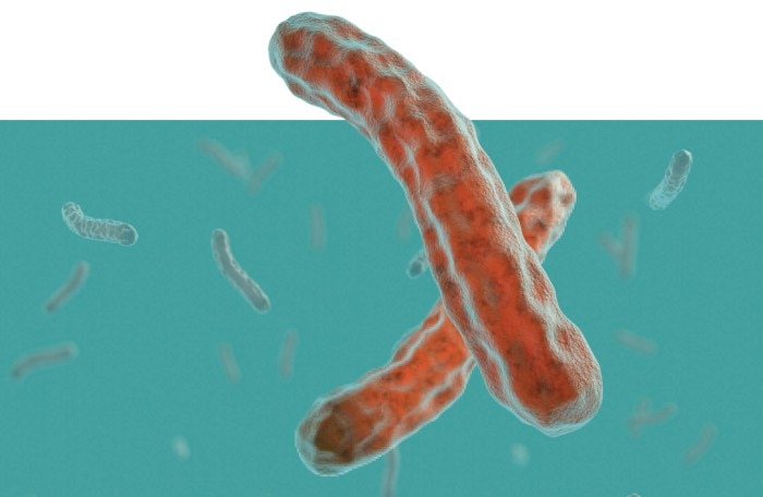 Tuberculosis, Mycobacterium tuberculosis (MTB) bacteria