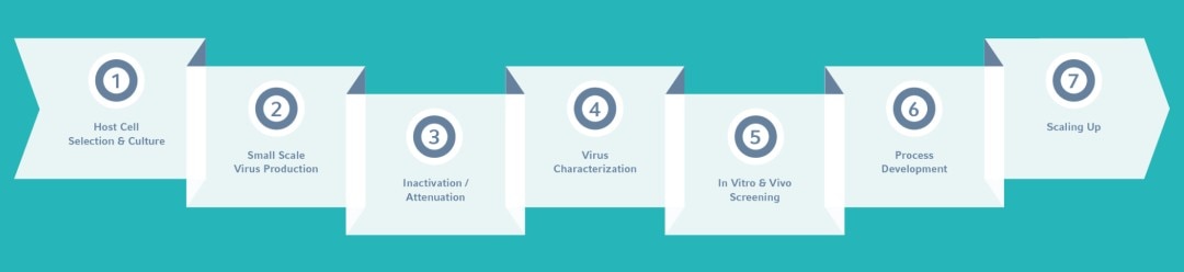 Inactivated / Live-attenuated Vaccine discovery workflow steps