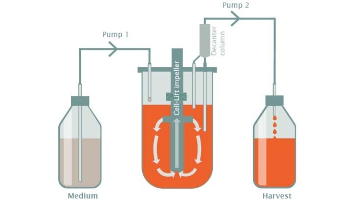 Functioning of cell-lift impeller with decanter column