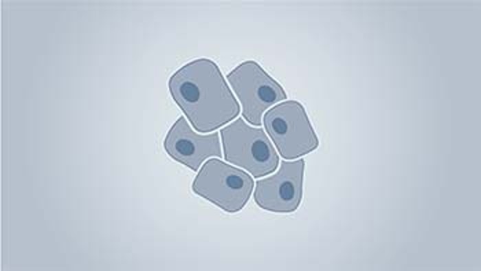 icon_stem_cell_light_blue_350px_x_197px