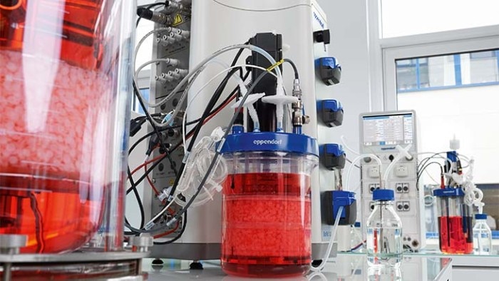 Bioreactors for the cultivation of adherent cells in bioreactors