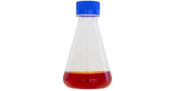 Shake flask with cell culture medium