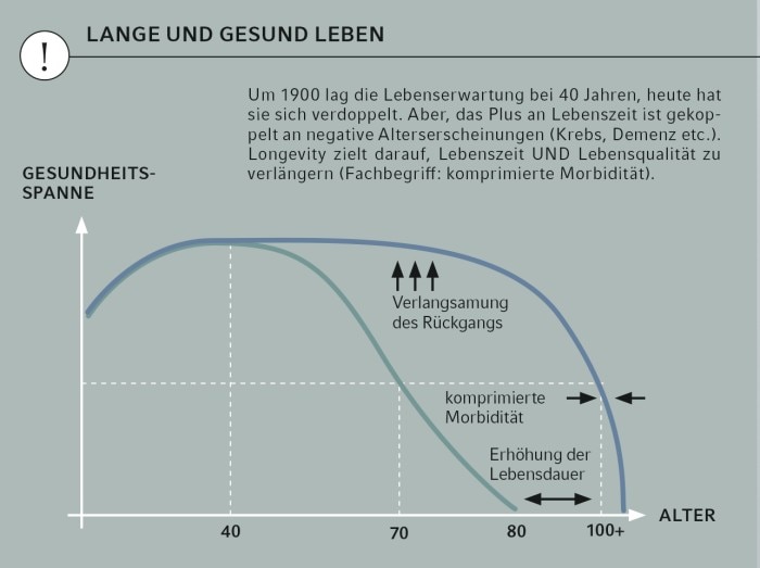 13_grafik_de