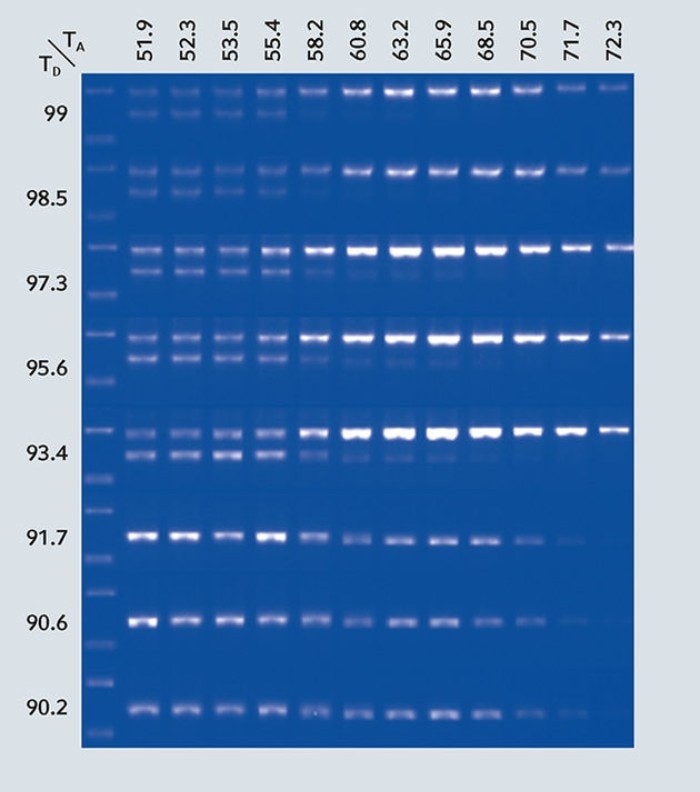 csm_sh_amplification_pcroptimization_using_2d_gradient_3c5a509206