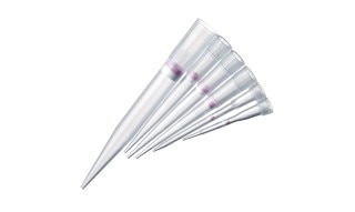 eppendorf_pipettetips