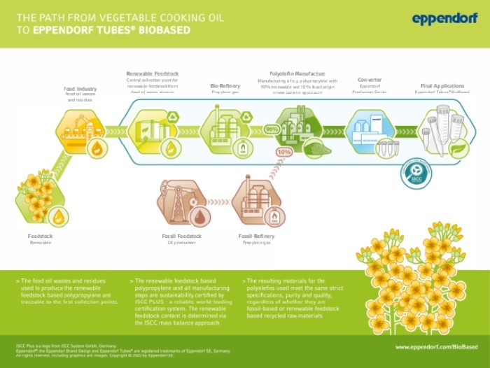 5323443_infographic_tubes_biobased_the_path_from_vegeta