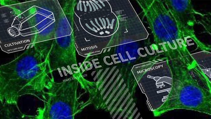 inside_cell_culture_1260x710_1