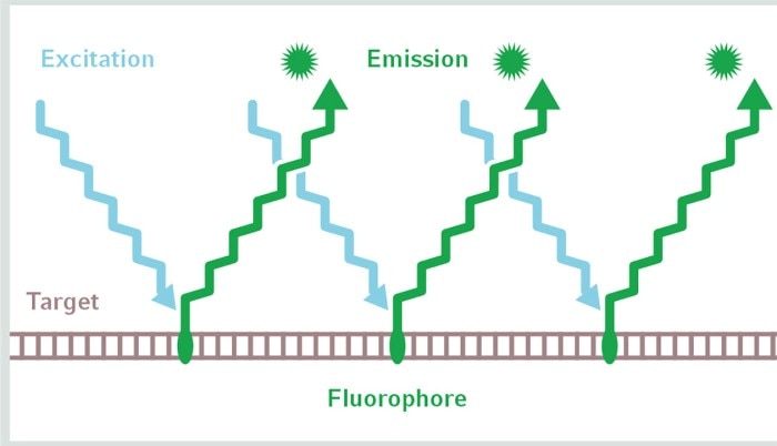 flourescence_samples_new